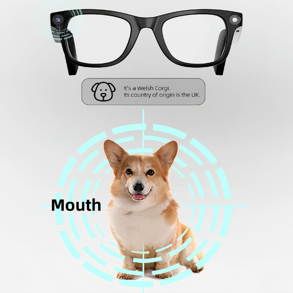 E02 Smart Glasses with Camera AI Translation Bluetooth